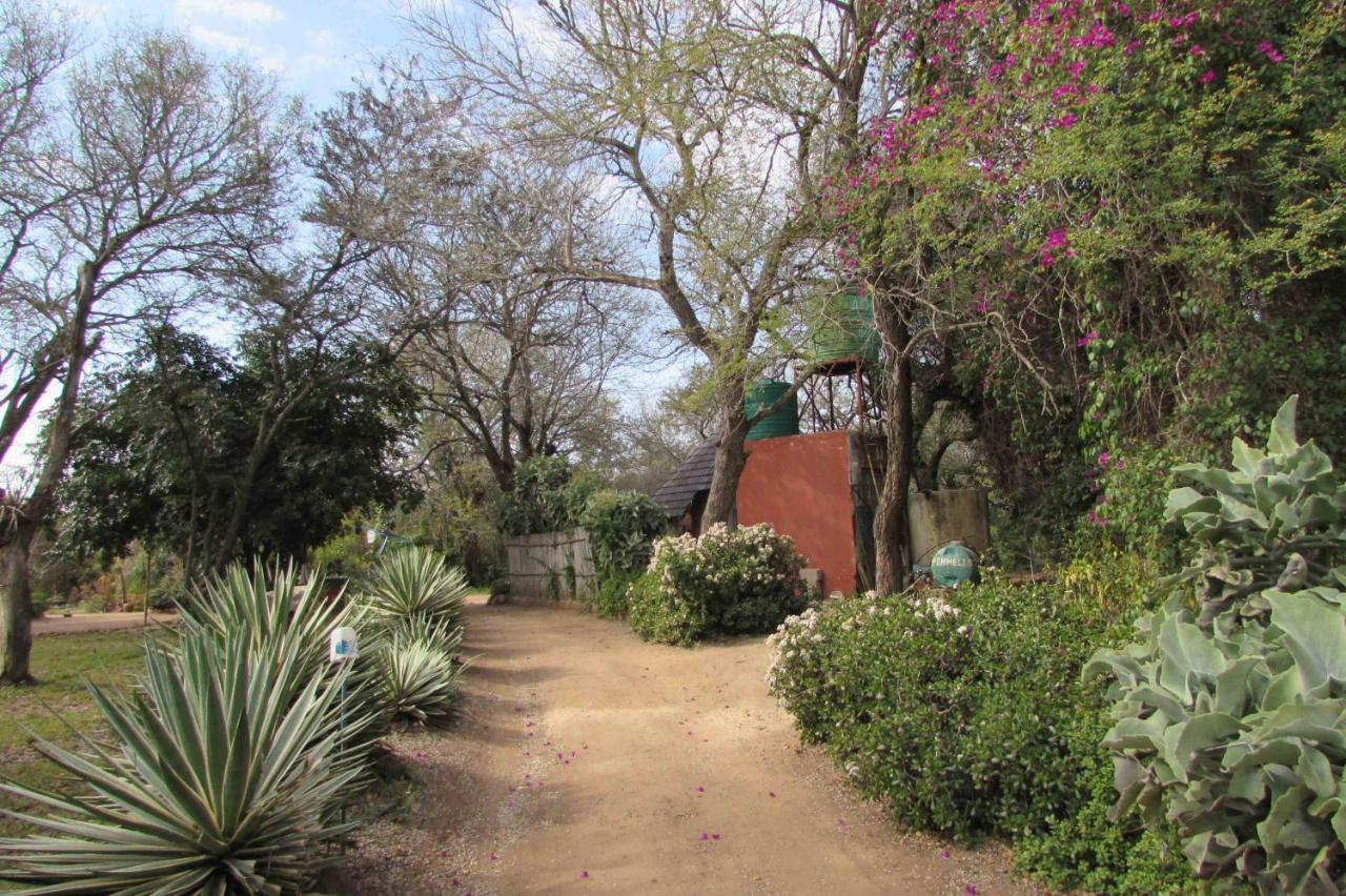 Amanzimlotzi Riverside Bush Camp Hoedspruit Exterior photo