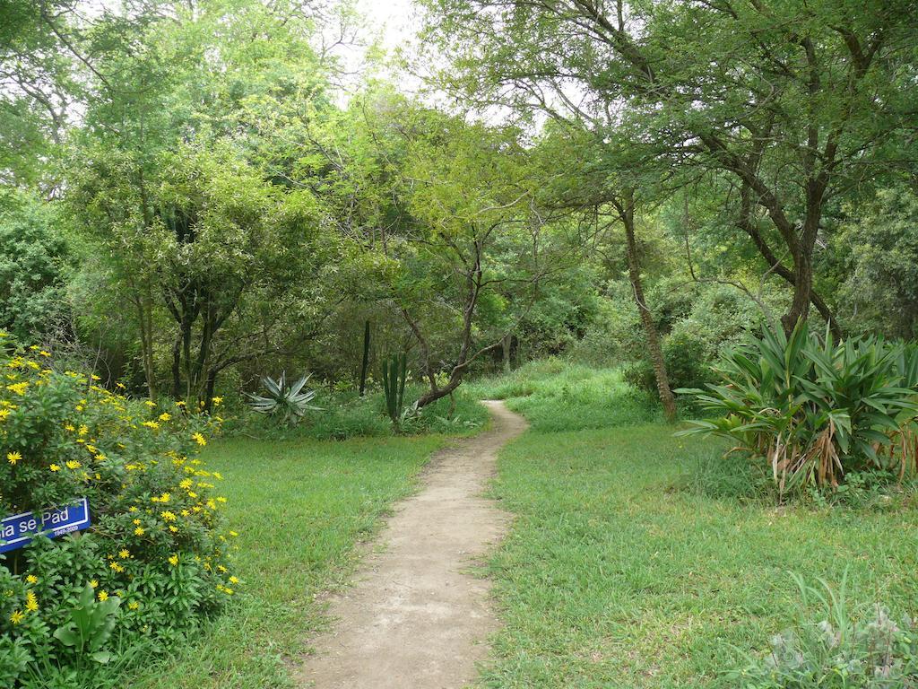 Amanzimlotzi Riverside Bush Camp Hoedspruit Room photo